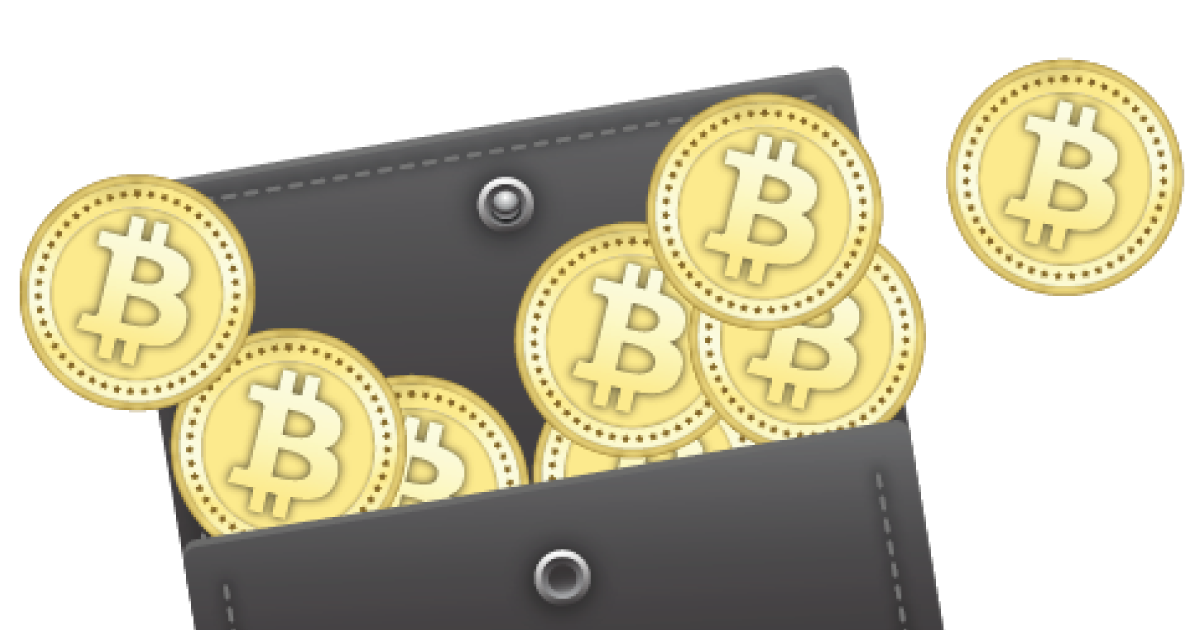 From Thousands of Coins to a Single Satoshi: How Bitcoin Learned to Whisper
